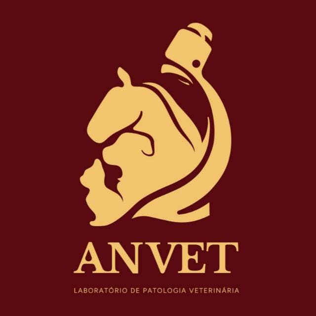 Logo Anvet